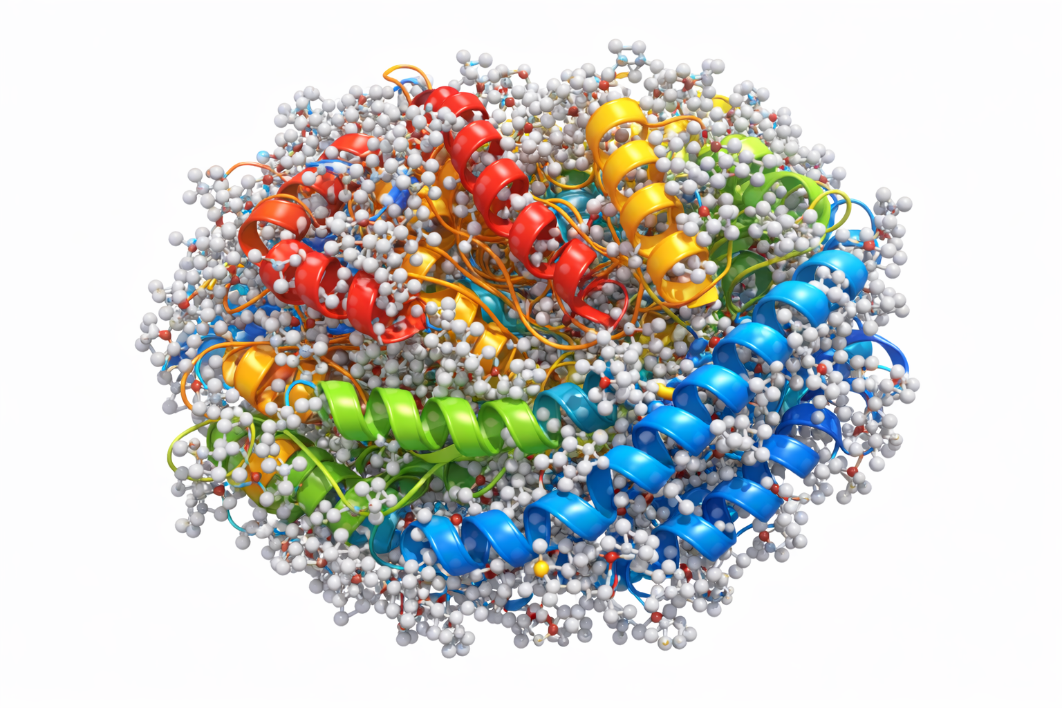 L-Asparaginase Structure
