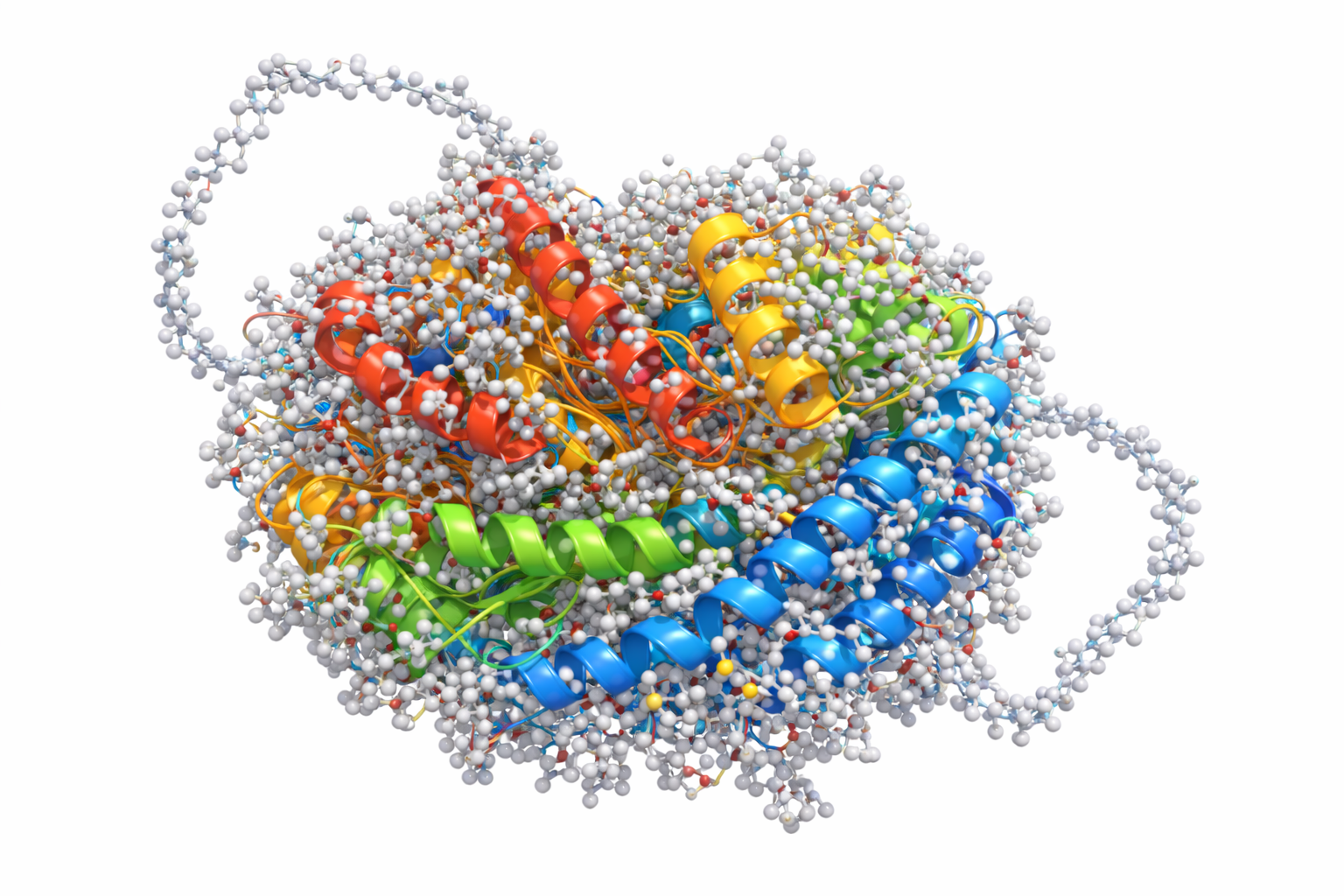Pegaspargase Structure